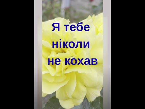 Видео: Я тебе ніколи не кохав - сказав чоловік Марині. Чи варто зберігати сім'ю без кохання?
