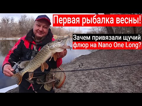 Видео: КАК ПОЙМАТЬ окуня и щуку ранней весной на спиннинг? Зачем привязали «щучий» флюр на Nano One Long?