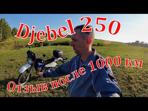 Видео: Suzuki Djebel 250. Обзор после 1000 км. Часть 1. 01.09.2024 г.