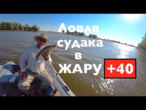 Видео: Ловля судака летнюю жару . В тени +40 !! Graphiteleader Vivo Nuovo 842M