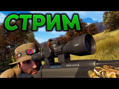 Видео: WAY OF THE HUNTER ► СТРИМ - НОВЫЕ ПРИЦЕЛЫ 21x ► Симулятор охоты Update 1.24.3 ► RTX 4090
