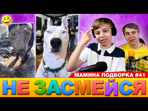 Видео: СМЕШНОЕ ВИДЕО для ХОРОШЕГО НАСТРОЕНИЯ! Мамина подборка #41