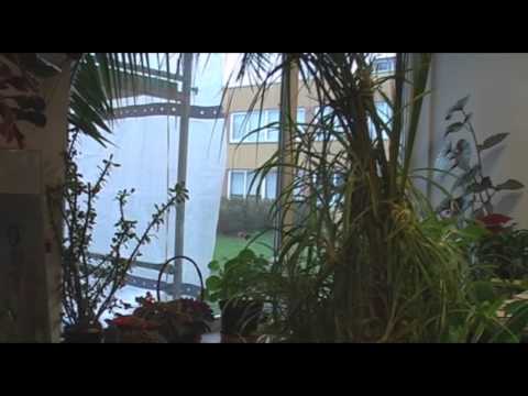 Видео: Радиопомехи (Studio Meksvideo)