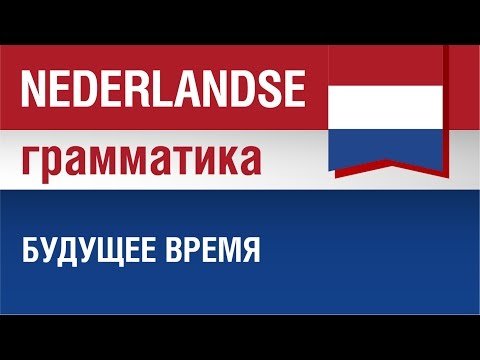 Видео: Грамматика голландского языка. Будущее время в голландском языке. Елена Шипилова.