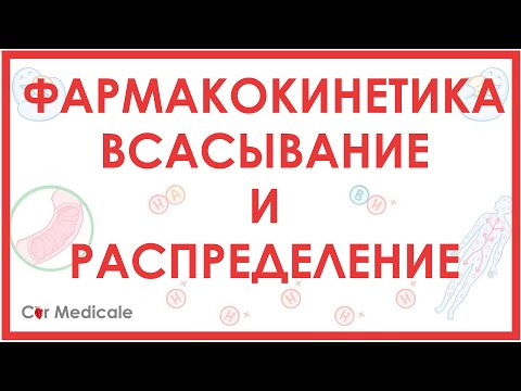 Видео: Фармакокинетика: всасывание, распределение, биодоступность лекарственных препаратов