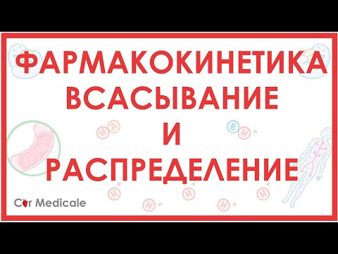 Видео: Фармакокинетика: всасывание, распределение, биодоступность лекарственных препаратов