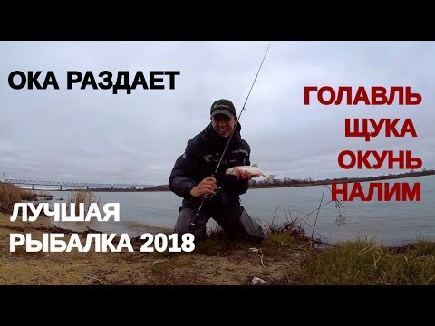 Видео: ЛУЧШАЯ рыбалка на МИКРОДЖИГ 2018 !!! Эмоции зашкаливают! - Рыбалка со stigan'ом