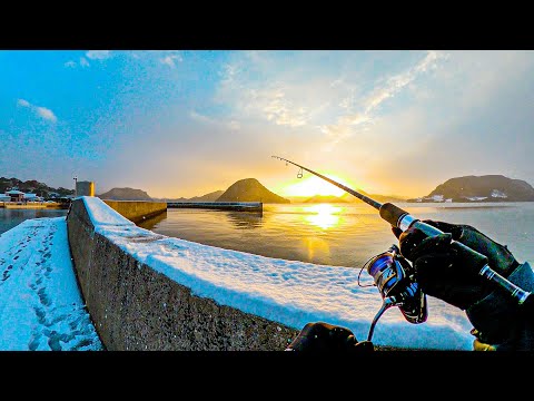 Видео: Камбала в рыбном порту в снегу