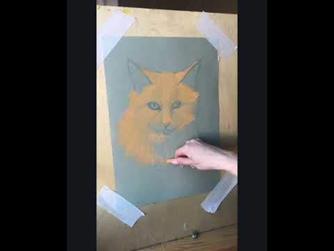 Видео: Техника пастель. Рисунок «портрет кота»