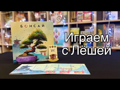 Видео: Летсплей игры «Бонсай»