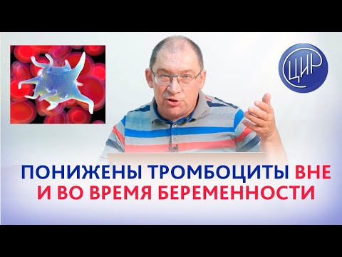 Видео: Понижены тромбоциты. Как тромбоцитопения влияет на беременность и что делать? Гузов И.И.