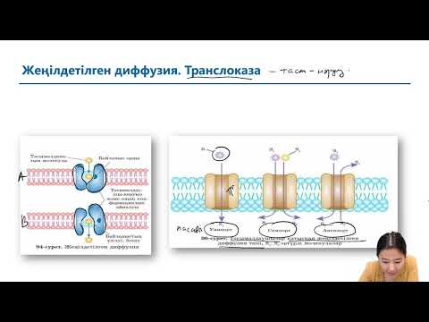 Видео: ЖЕҢІЛДЕТІЛГЕН ДИФФУЗИЯ || ХИМИЯ - БИОЛОГИЯ МЕКТЕБІ || НЕСІБЕЛІ АПАЙ