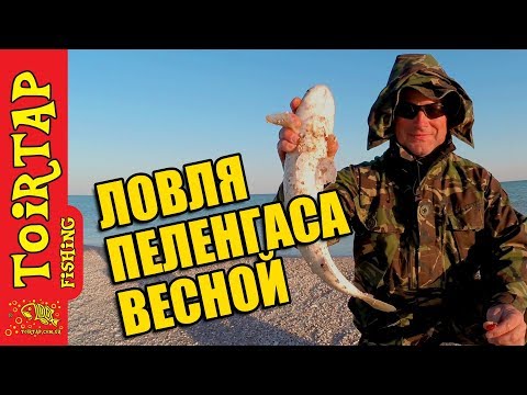 Видео: Ловля ПЕЛЕНГАСА с берега | Рыбалка на море весной | Где и как ловить! (Sea fishing on haarder)