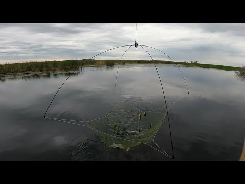 Видео: рыбалка на паук подъёмник  столько окуней Мы ещё не видели рекомендую посмотреть