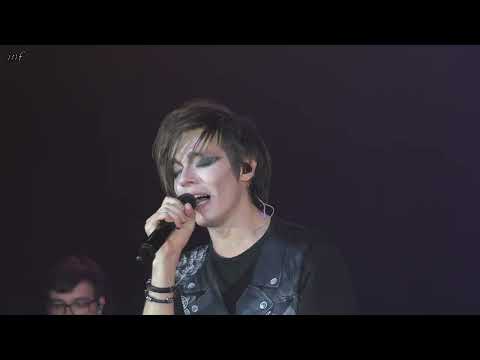 Видео: Яд и мёд / Александр Казьмин / Концерт 26.08.22