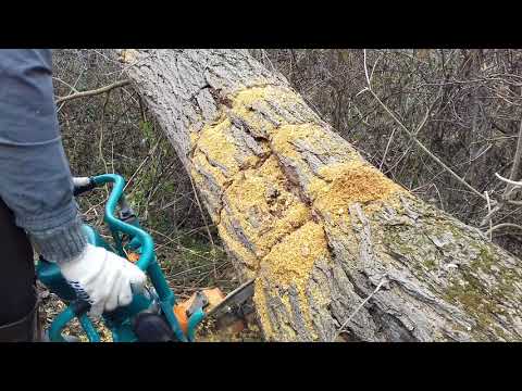 Видео: Дружба 4