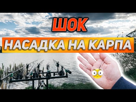 Видео: ШОК!!! НАСАДКА НА КАРПА. Карпфишинг.