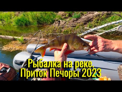 Видео: Рыбалка на реке, приток Печоры 2023. Ловля на поплавок и спининг, жерлицы пока молчат.