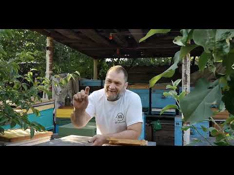 Видео: Какой нуклеус лучше? Что же выбрать?