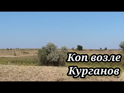 Видео: ПОИСК МОНЕТ МЕТАЛЛОИСКАТЕЛЕМ НА ПОЛЕ ВОЗЛЕ КУРГАНОВ. КОП 2021. НАХОДКИ С ФОРТУНА ПРО 2.