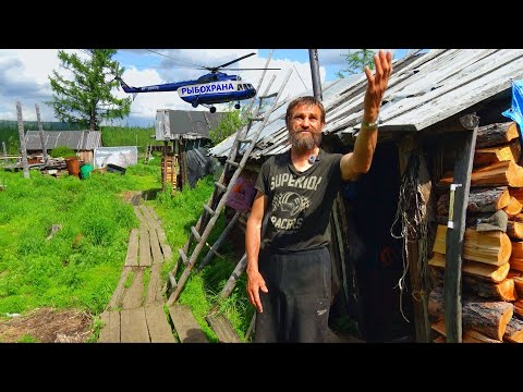 Видео: ОТШЕЛЬНИК 20 ЛЕТ ОДИН! РЫБОХРАНА, ШТРАФ, ГОЛОД И ВОЛКИ! Рыбалка на Севере у Галины ЧАСТЬ 2