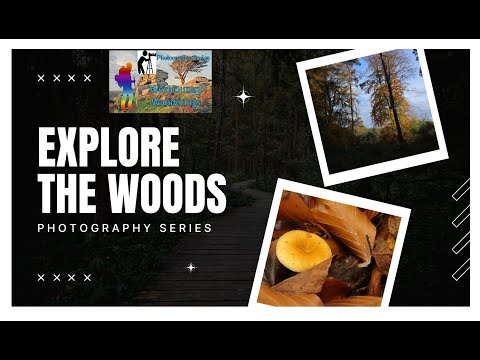 Видео: Леса Чаддсли — фотопрогулка в поисках грибов и осенних красок