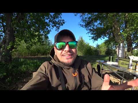 Видео: КЛЮЄ ПІД БЕРЕГОМ! Перевірив рибне місце. Ранкова рибалка на фідер