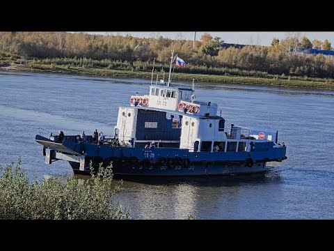 Видео: Осень наступила.Паромы ходят.Утки разгуливают по берегу.