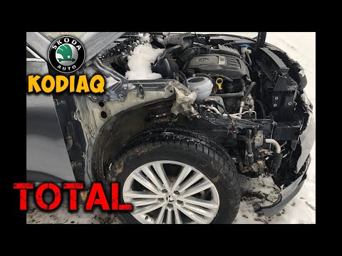 Видео: Тотальный Кодиак 3 недели работы за 15 минут
