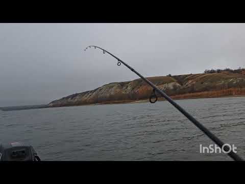 Видео: Осенний Дон: Рыбалка в золотой сезон"