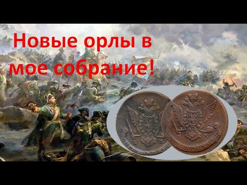 Видео: Новые орлы в мое собрание!