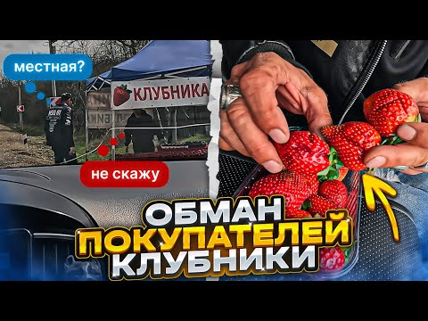 Видео: Обман покупателей клубники