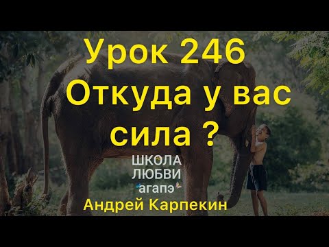 Видео: 246. Откуда у вас сила? Школа Любви Агапэ.