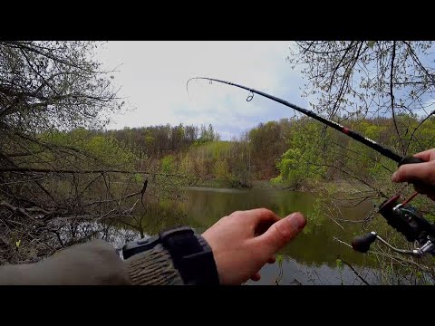 Видео: Рыбалка на реке Дон. Ловля на Фидер весной.