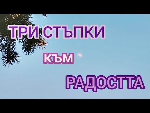Видео: ТРИ  СТЪПКИ към РАДОСТТА  | ТЕХНИКИ | @ВЕКТОР