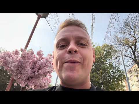 Видео: Ташкент транзитом за несколько часов⚡️26.10.2025