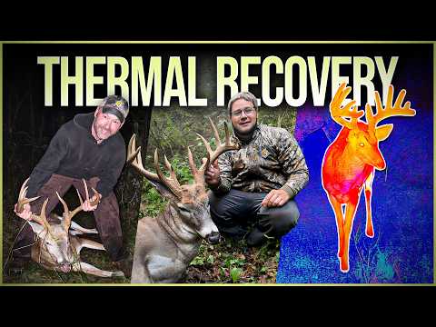 Видео: Бакс не спрячется: опытные пилоты тепловых самолетов нашли 4/5!