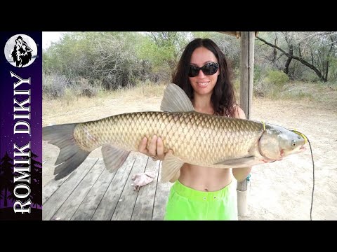 Видео: Не рыбалка. Река Или. Август 2020г. Поймал амура