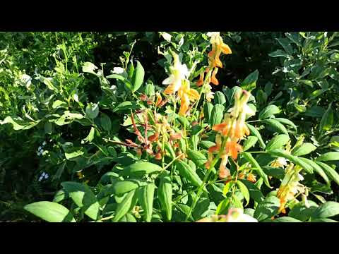 Видео: 16 ИЮЛЯ  НОРИЛЬСК ОТМЕЧАЕТ ДЕНЬ ГОРОДА И МЕТАЛЛУРГА  А МЫ КАК ОБЫЧНО В ТУНДРУ