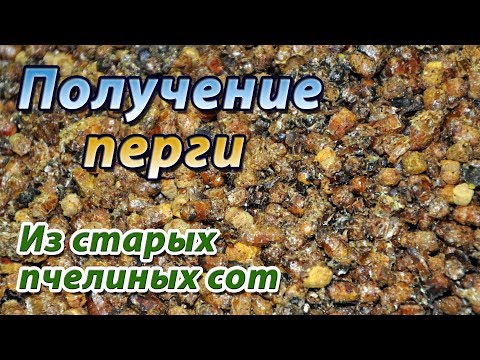 Видео: Получение перги из старых пчелиных сот на моей пасеке.