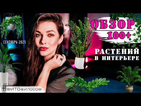 Видео: ОБЗОР РАСТЕНИЙ 100+ в квартире 💚 Как чуть не лишиться коллекции за неделю? Адская жара 40+ 🔥