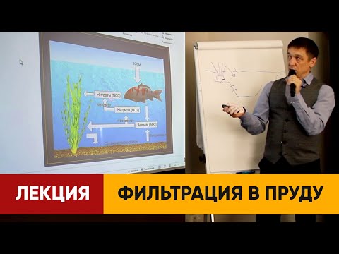 Видео: ФИЛЬТРАЦИЯ ВОДЫ В ПРУДУ | Лекция о фильтрации пруда | Обзор фильтров