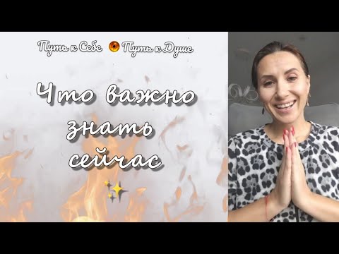 Видео: 🪷Что важно знать сейчас 🙏🫆💫 #поток #любовь #таро #гадание #путьксебе #subscribe #tarot #таролог 