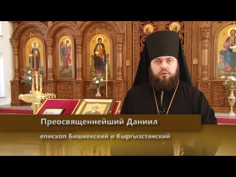 Видео: Икона Божией Матери «Взыскание погибших». «Слово пастыря». Выпуск от 18 февраля 2016 года