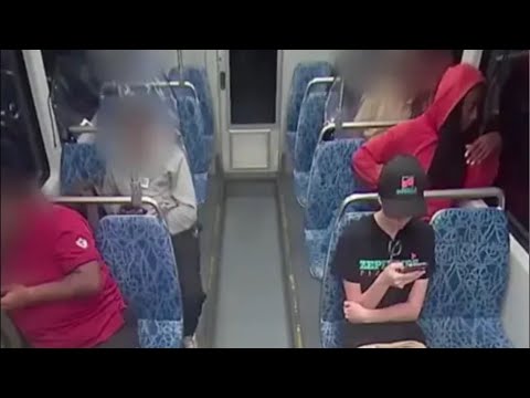 Видео: Жуткие случаи в Америке и не только