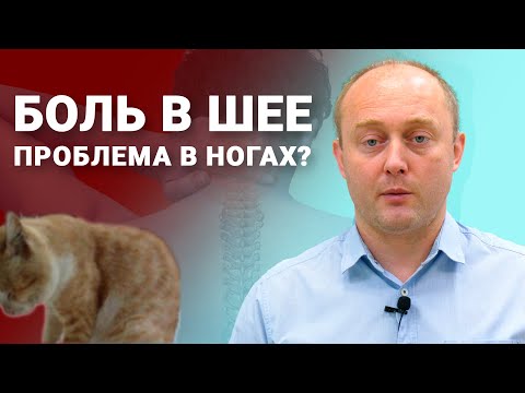 Видео: ПОЧЕМУ БОЛИТ ШЕЯ?