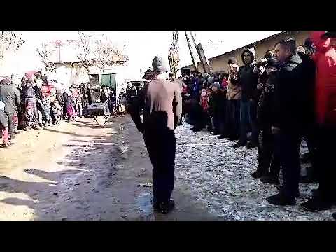 Видео: Туй дар дехаи носробод заркамар