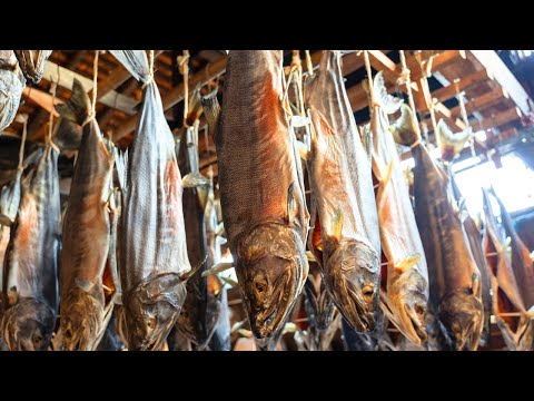 Видео: Удивительная коллекция японской кухни | Солёный созревший лосось, традиционные сладости