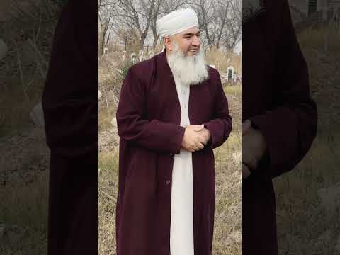 Видео: КАРЗДОРО ХУБ ГУШКНЕН Мавлави Бохтари