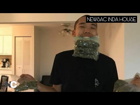 Видео: B TAMIR Нэрнээс цааш юу мэдэх вэ? #41